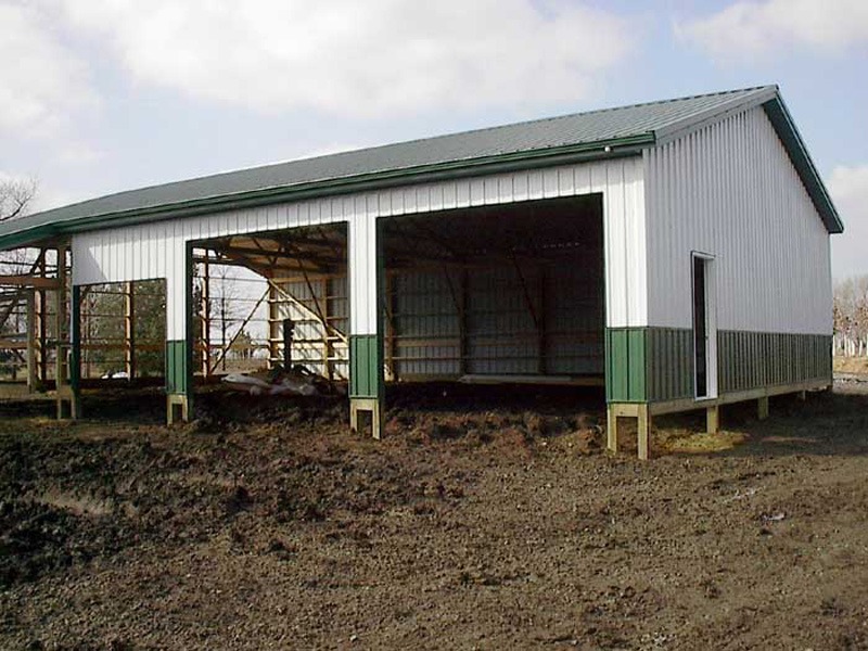 Sally: Cow shed designs